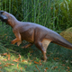 A life-size, 3D model of Psittacosaurus. (Image: Jakob Vinther, University of Bristol and Bob Nicholls (Paleocreations.com))